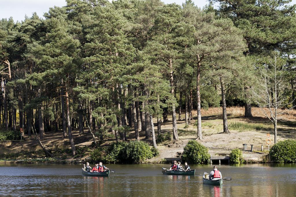 Vila Avon Tyrrell Outdoor Activity Centre Bransgore Exteriér fotografie